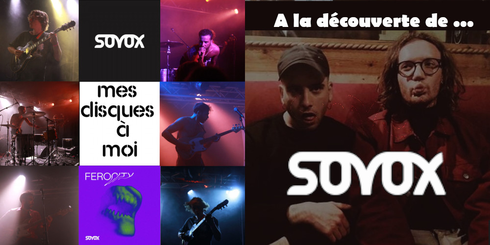 A la découverte de SOvOX