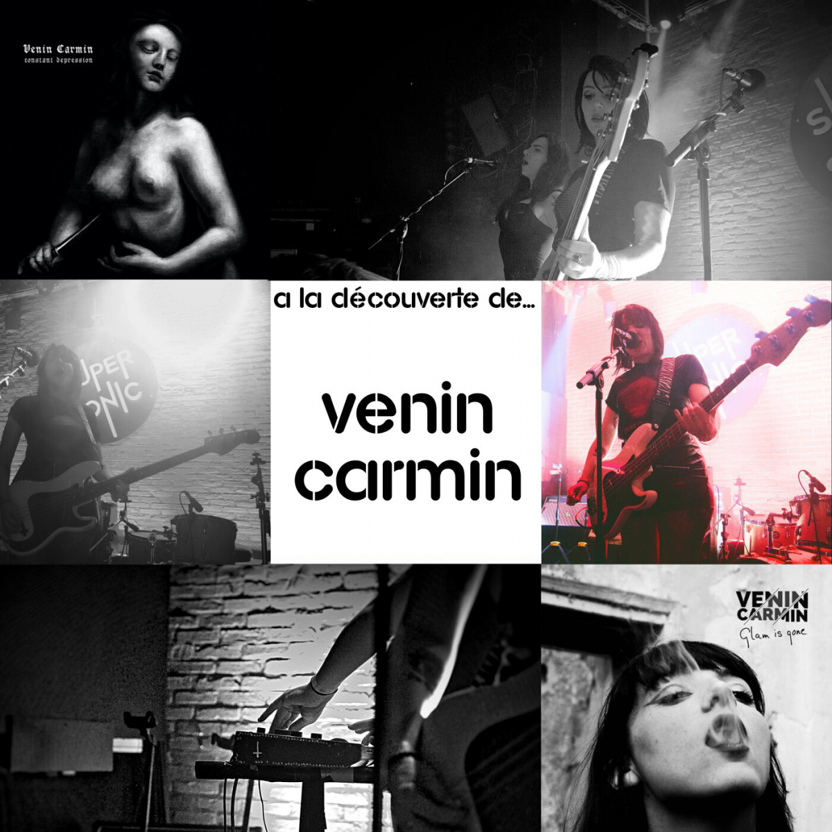 A la découverte de … Venin Carmin