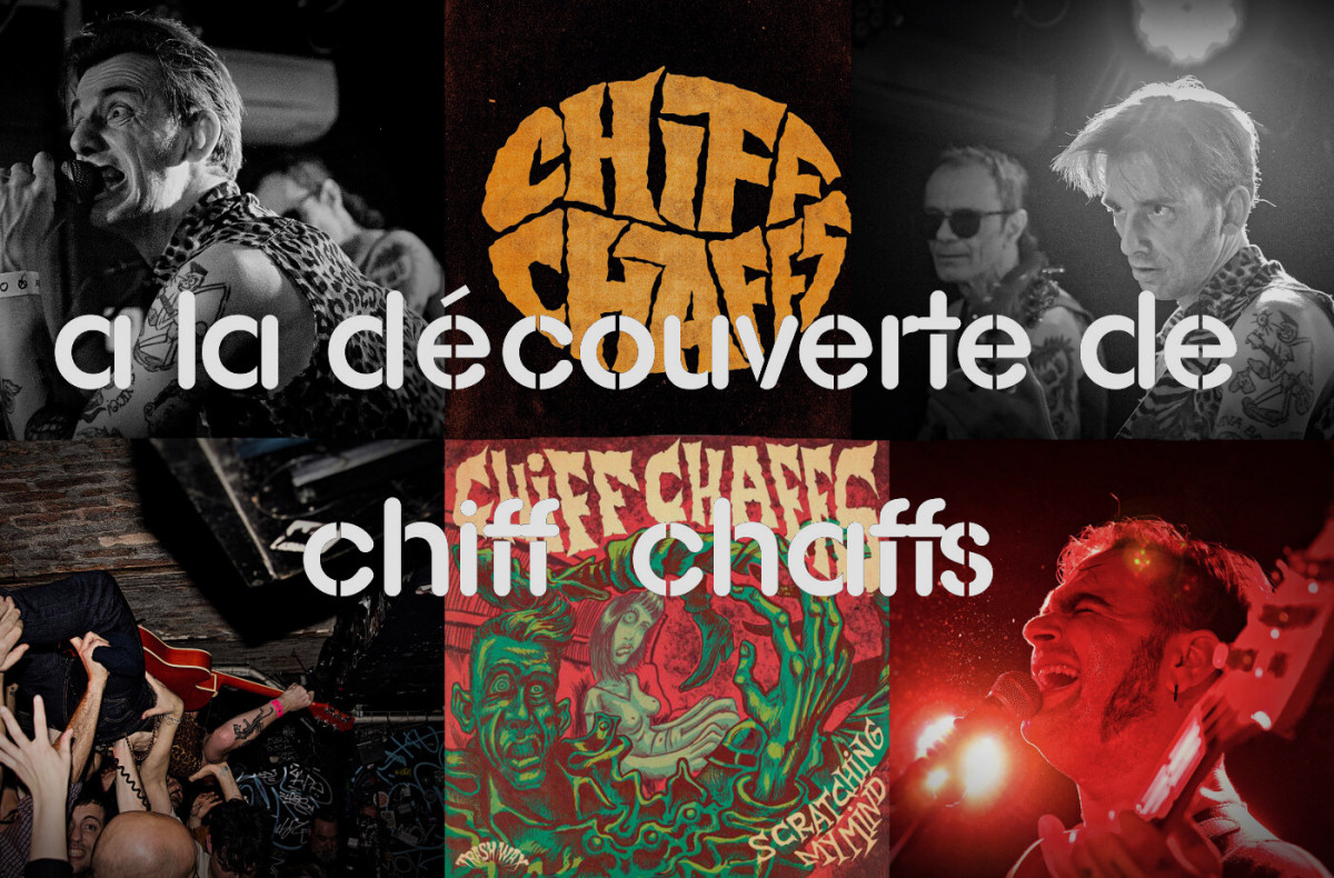 A la découverte de … Chiff Chaffs